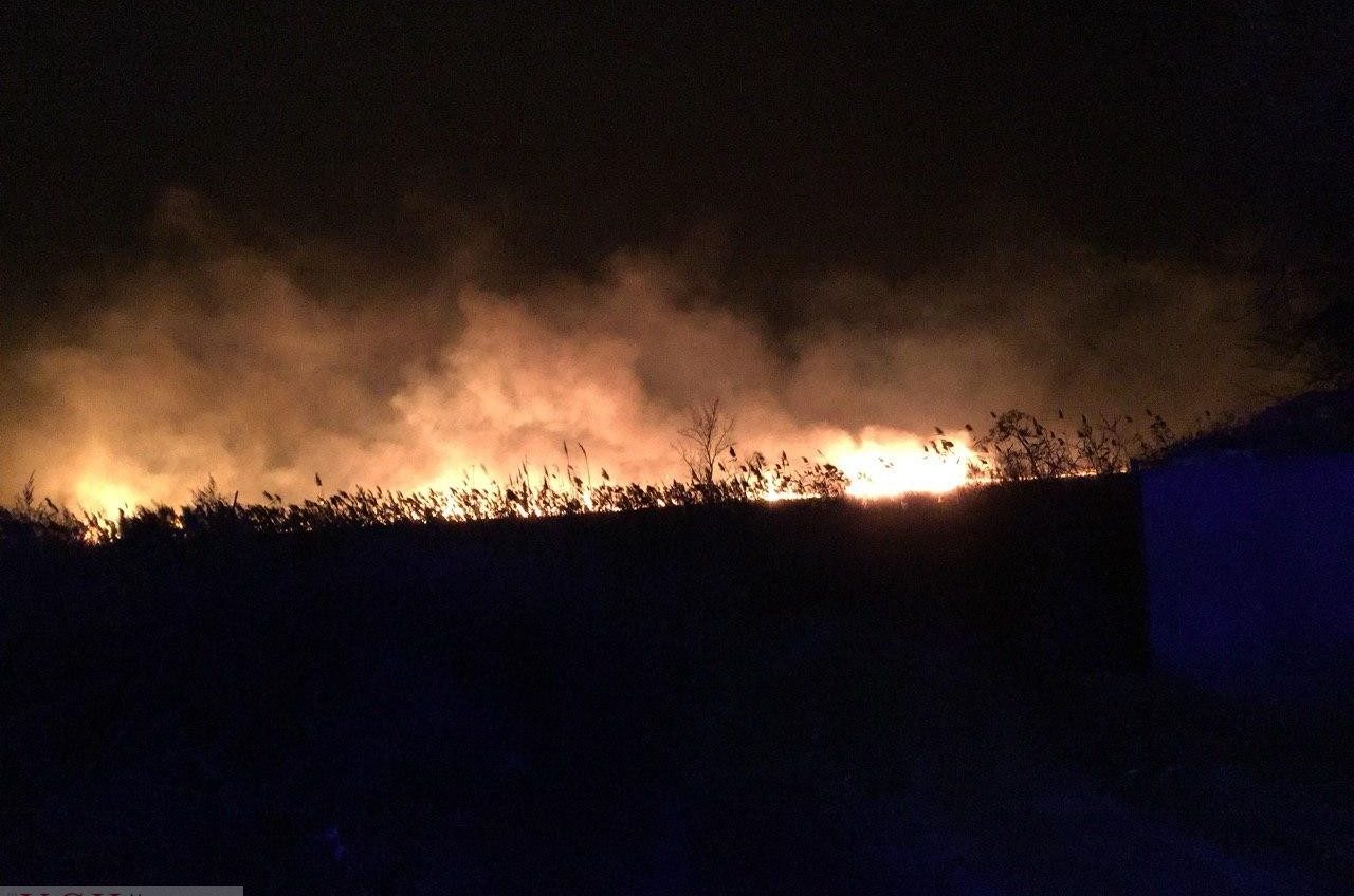 Под Одессой загорелся нацпарк: пожарные не могут потушить огонь (видео) ОБНОВЛЕНО «фото»