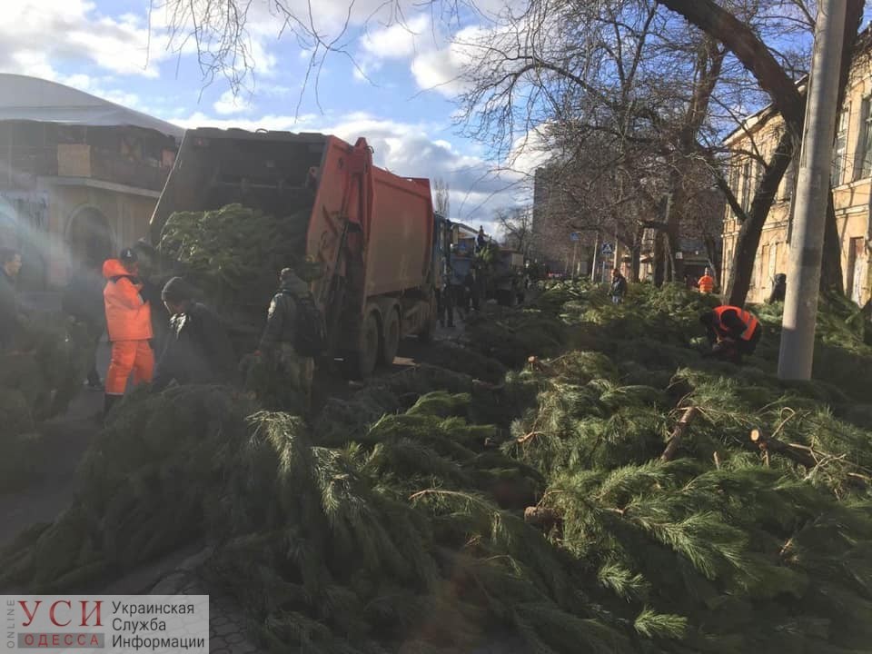 В Одессе придумали, как избежать елочных свалок после Нового года (видео) «фото»