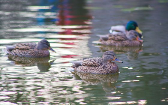 Одесситам обещают холодную пятницу без осадков «фото»