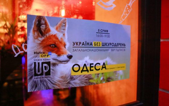 Одесситы собирают подписи против меховых ферм в рамках всеукраинской акции (фото) usionline.com Одесситы собирают подписи против меховых ферм в рамках всеукраинской акции (фото) «фото»