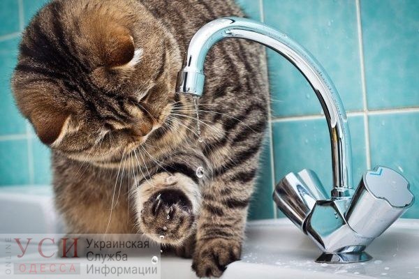 В среду на весь день отключат воду в большой части Суворовского района «фото»