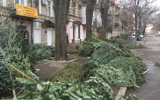 Продавцы елок побросали горы нереализованного товара: коммунальщики убирают завалы хвои (фото) usionline.com Продавцы елок побросали горы нереализованного товара: коммунальщики убирают завалы хвои (фото) «фото»