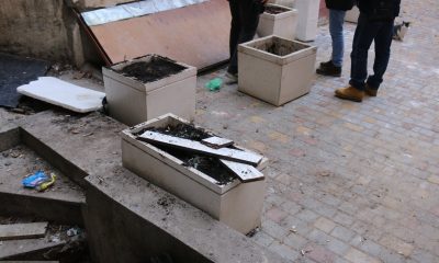 В Одессе сразу после ремонта во дворе украли растения в вазонах вместе с землей (фото, документ) «фото»