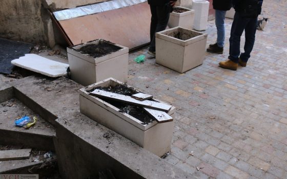 В Одессе сразу после ремонта во дворе украли растения в вазонах вместе с землей (фото, документ) usionline.com В Одессе сразу после ремонта во дворе украли растения в вазонах вместе с землей (фото, документ) «фото»