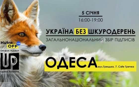 В Одессе будут собирать подписи против меховых ферм «фото»