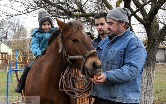 Пони будет лечить детей из реабилитационного центра в Измаильском районе usionline.com Пони будет лечить детей из реабилитационного центра в Измаильском районе «фото»