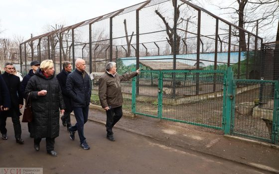 Первые лица города приехали в зоопарк взглянуть на новый забор (фото) «фото»