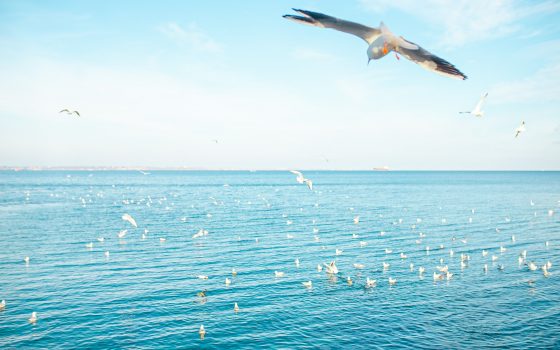 В субботу в Одессе будет прохладно и солнечно «фото»