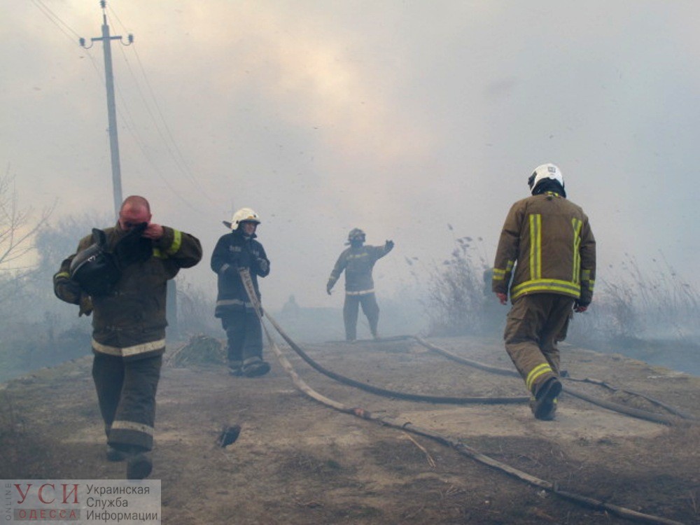 В Одессе спасатели десять часов тушили 4 гектара камыша на Балтской дороге: огонь перекинулся на дома (фото, видео) «фото»