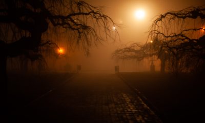 Ночная Одесса погрузилась в густой туман (фоторепортаж) «фото»