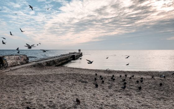 В понедельник в Одессе будет облачно, но без осадков usionline.com В понедельник в Одессе будет облачно, но без осадков «фото»