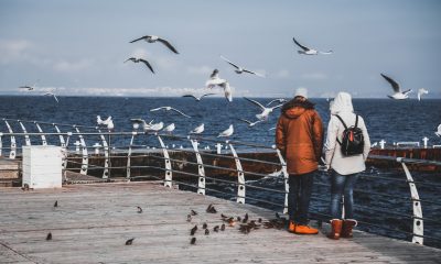 Солнце, чайки и море: одесситы наслаждаются прогулками по побережью (фоторепортаж) «фото»