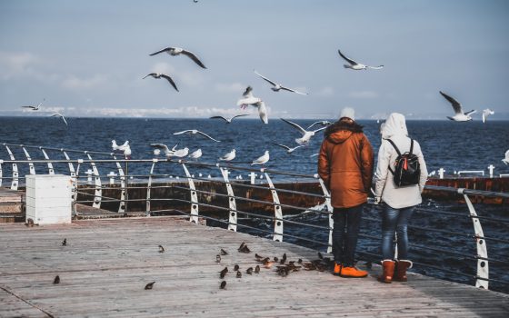 Солнце, чайки и море: одесситы наслаждаются прогулками по побережью (фоторепортаж) usionline.com Солнце, чайки и море: одесситы наслаждаются прогулками по побережью (фоторепортаж) «фото»