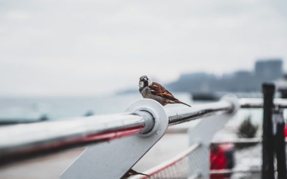 В среду в Одессе будет ясно и прохладно «фото»