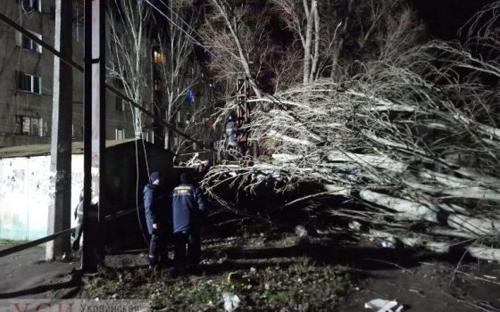 В новогоднюю ночь дерево рухнуло и перебило газовую трубу на Пересыпи (фото) usionline.com В новогоднюю ночь дерево рухнуло и перебило газовую трубу на Пересыпи (фото) «фото»