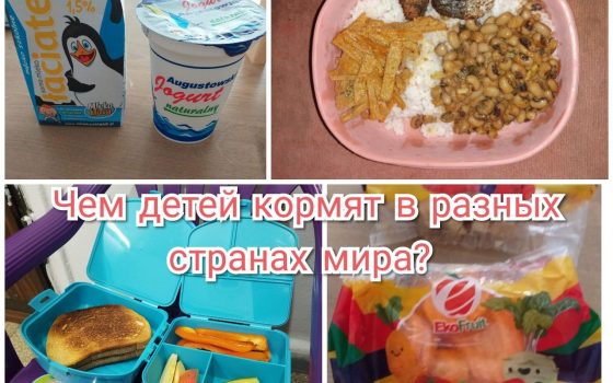 Острый рис, вода из крана и кошерные тосты: чем кормят школьников в разных странах мира (фото) «фото»