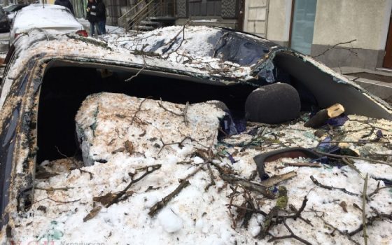 В центре Одессы упавшее многолетнее дерево придавило два автомобиля (фото) «фото»