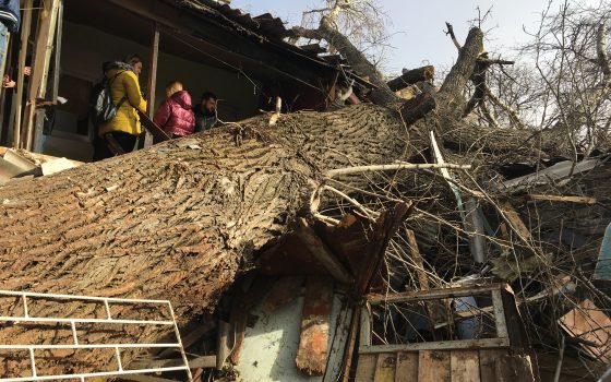 На Молдаванке дерево рухнуло на дом: женщину освободили из-под завалов (фото, видео) ОБНОВЛЕНО «фото»