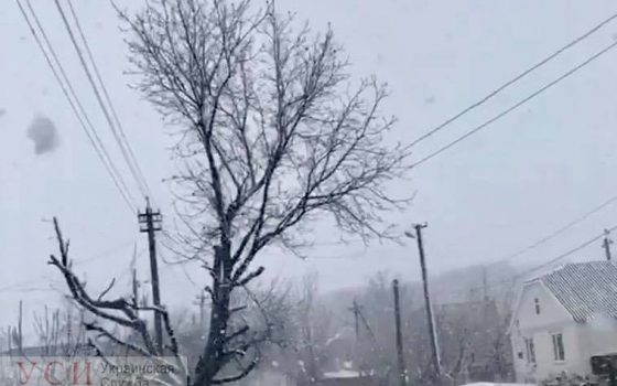 На севере Одесской области выпал снег (фотофакт) «фото»