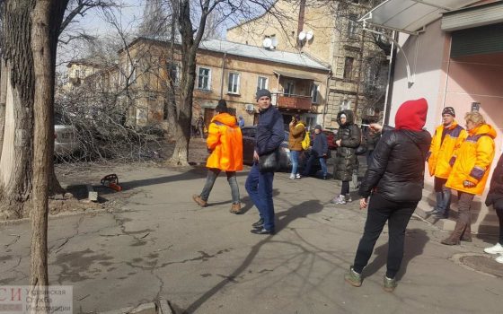 Женщина погибла в центре Одессы: на нее упало дерево (фото) ОБНОВЛЯЕТСЯ usionline.com Женщина погибла в центре Одессы: на нее упало дерево (фото) ОБНОВЛЯЕТСЯ «фото»