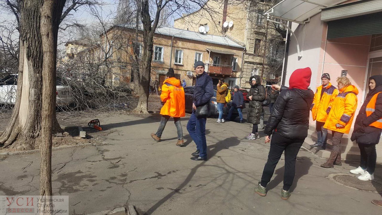 Женщина погибла в центре Одессы: на нее упало дерево (фото) ОБНОВЛЯЕТСЯ «фото»