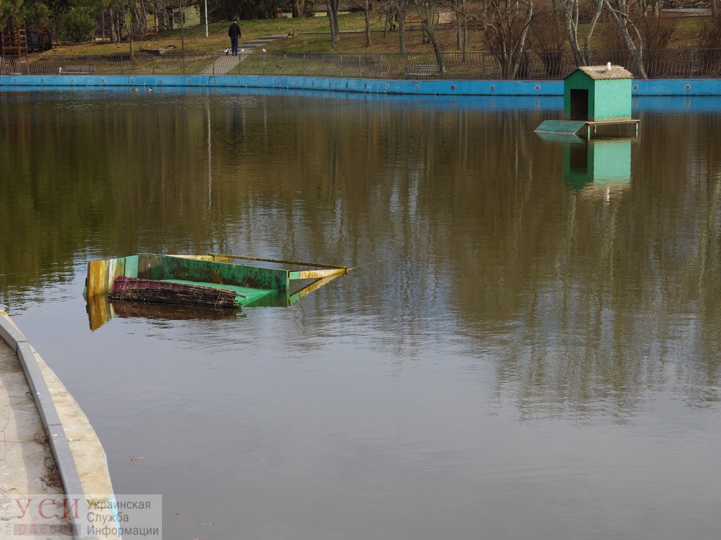 В парке Победы стихия разрушила домики птиц на пруду и повалила десятки деревьев (фото) «фото»