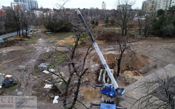 В парке Межрейсовой базы моряков рубят деревья и расчищают место под стройку (фото, карта) «фото»