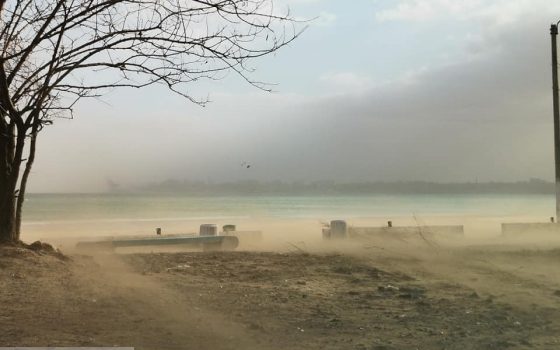 Ураганный ветер отогнал морскую воду в Одессе: обнажилось до 40 метров берега (фото) «фото»
