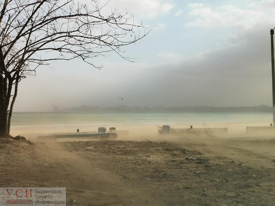 Ураганный ветер отогнал морскую воду в Одессе: обнажилось до 40 метров берега (фото) «фото»