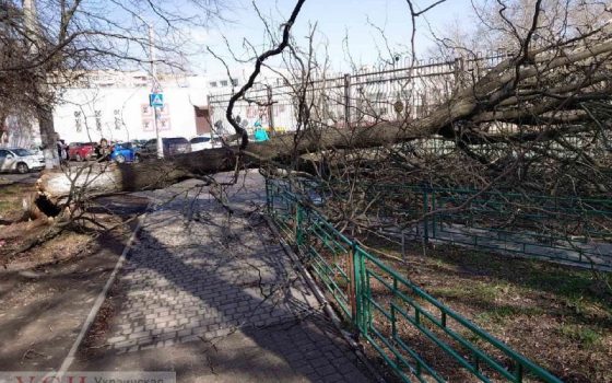Древопад в Одессе: массовое падение билбордов, проткнувшие автомобиль штыри и застывшие на рельсах трамваи (обновляется) usionline.com Древопад в Одессе: массовое падение билбордов, проткнувшие автомобиль штыри и застывшие на рельсах трамваи (обновляется) «фото»
