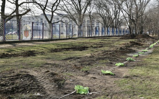 Благоустройство или афера: в Преображенском парке за счет зеленой зоны строят новую дорогу (фото) usionline.com Благоустройство или афера: в Преображенском парке за счет зеленой зоны строят новую дорогу (фото) «фото»