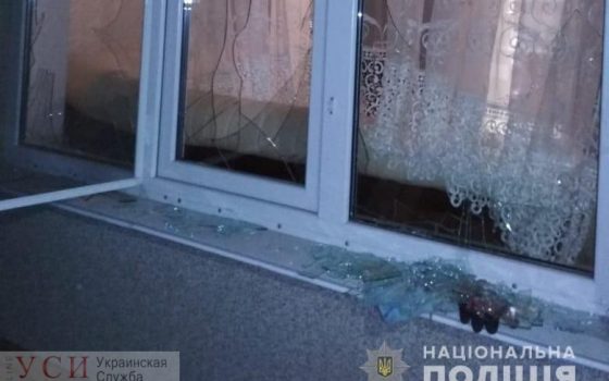 В Одесской области во двор частного дома неизвестные бросили гранату (фото) «фото»