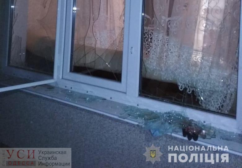 В Одесской области во двор частного дома неизвестные бросили гранату (фото) «фото»
