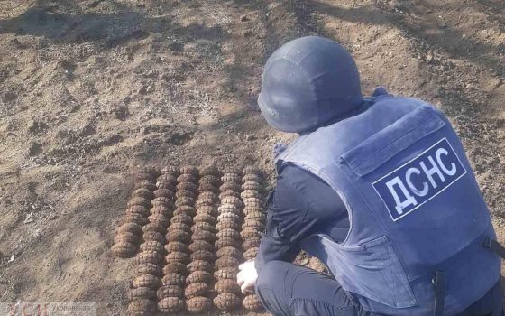 Житель Одесской области нашел в огороде более 100 гранат времен Второй мировой (фото) «фото»