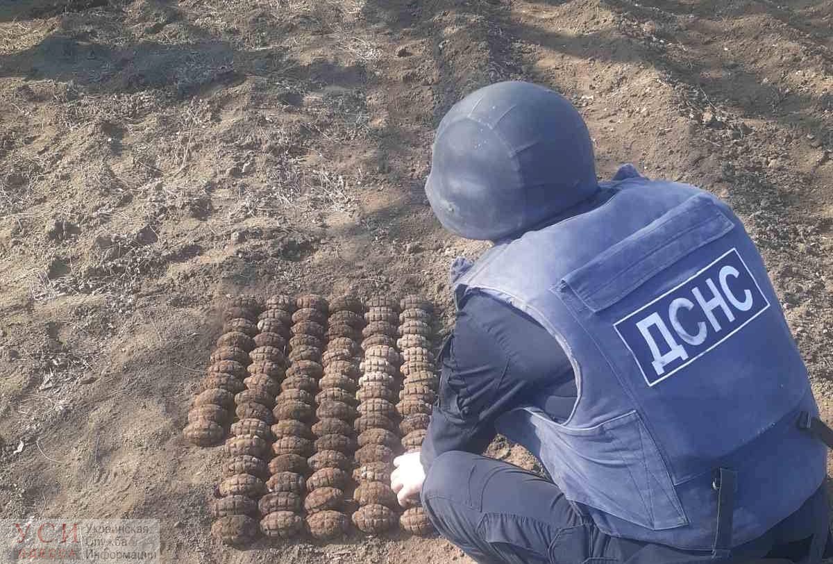Житель Одесской области нашел в огороде более 100 гранат времен Второй мировой (фото) «фото»