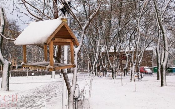 Легкий мороз и отсутствие осадков ожидают одесситов в пятницу usionline.com Легкий мороз и отсутствие осадков ожидают одесситов в пятницу «фото»