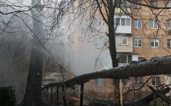 Упавшее дерево повредило теплотрассу на Черемушках: из труб бьет фонтан, в 4 домах нет тепла (видео) «фото»