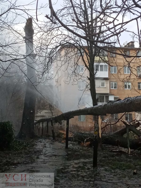 Упавшее дерево повредило теплотрассу на Черемушках: из труб бьет фонтан, в 4 домах нет тепла (видео) «фото»