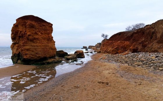 Морские красоты Фонтанки (фоторепортаж) «фото»