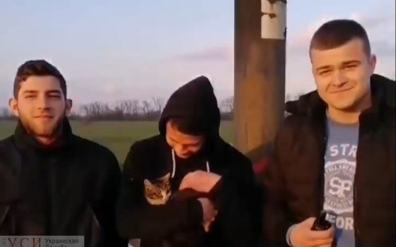 Под Одессой неравнодушные парни залезли на билборд, чтобы спасти котенка (видео) usionline.com Под Одессой неравнодушные парни залезли на билборд, чтобы спасти котенка (видео) «фото»