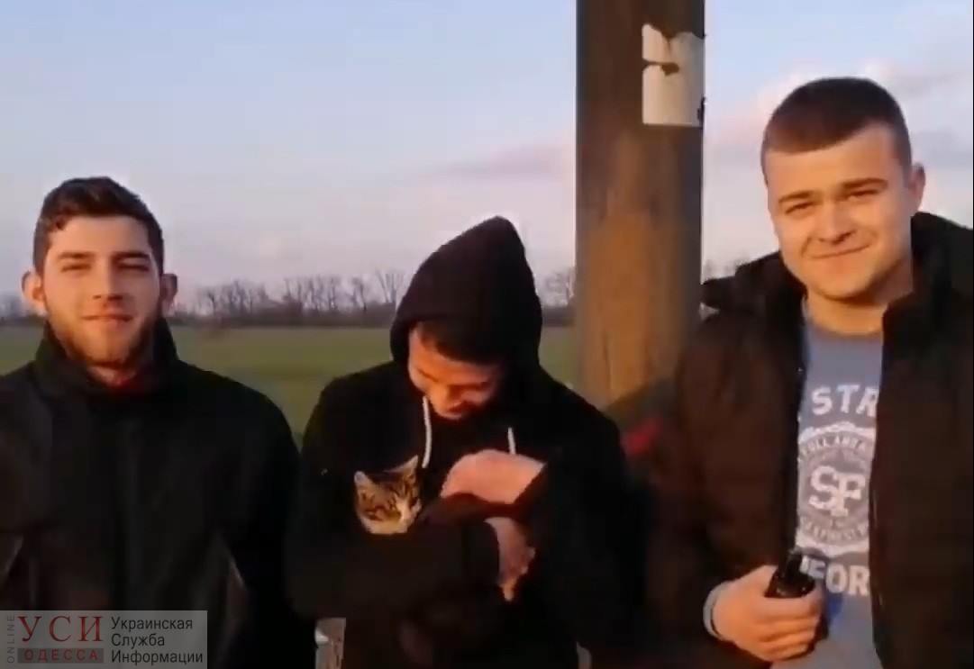 Под Одессой  неравнодушные парни залезли на билборд, чтобы спасти котенка (видео) «фото»