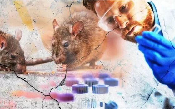 Житель Китая умер от еще одного нового вируса «фото»