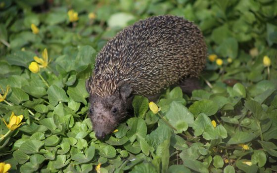В субботу в Одессе будет тепло и облачно «фото»