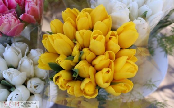 Одесситам обещают теплый, но дождливый понедельник «фото»