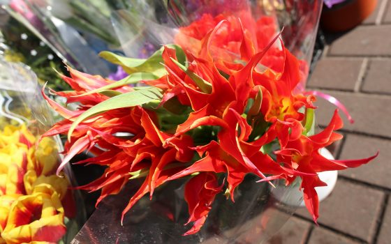 В Одессе цветочный ажиотаж: УСИ выяснила, сколько стоит букет к 8 марта (фоторепортаж) «фото»