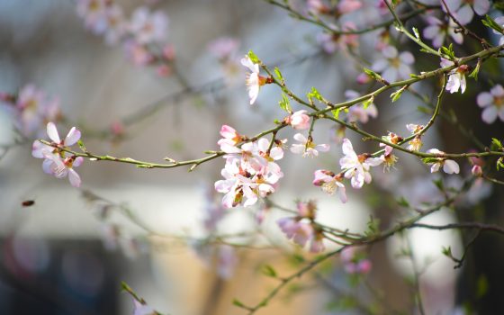 В Одессе будет солнечно, но прохладно «фото»