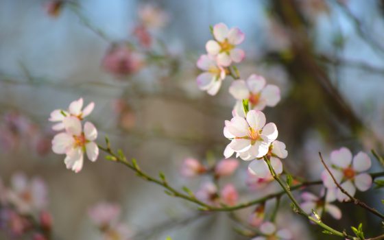 В пятницу в Одессе будет по-весеннему тепло и солнечно «фото»