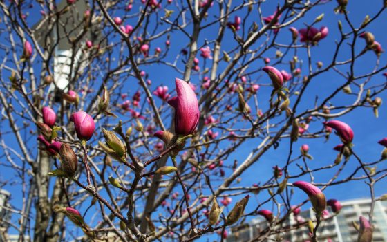 В пятницу в Одессе ожидается облачная погода и незначительное потепление «фото»