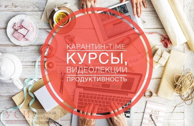 Карантин-time: время для саморазвития, онлайн-курсы и дистанционное обучение «фото»