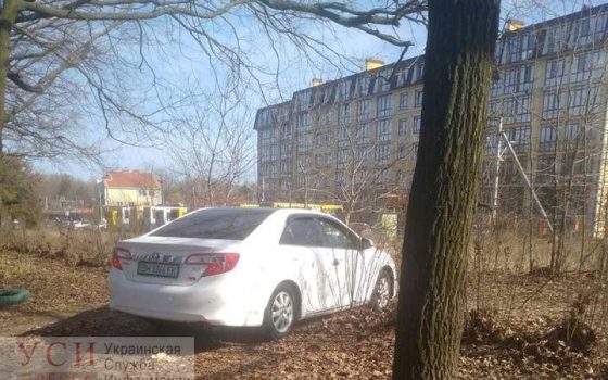 Места много: на 411 батарее любитель пикников проехал на автомобиле через кусты (фото) «фото»